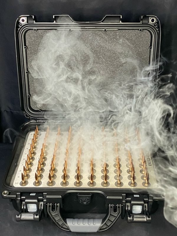 ammo case